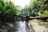 San_Carlos_Falls_139_11222022 - Context of a fallen tree right across from the brink of San Carlos Falls
