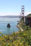 San_Francisco_146_04202019 - Wildflowers fronting the Golden Gate Bridge