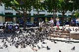 San_Juan_097_04142022 - Lots of pigeons surrounding someone feeding them at the Plaza de Armas
