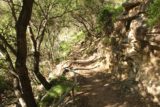 San_Ysidro_Falls_049_04012017 - The San Ysidro Trail was for the most part in shade, which made for a relatively comfortable hike
