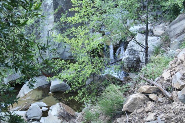 San_Ysidro_Falls_052_04012017 - Looking down at some 25ft pair of converging waterfalls, which I suspected that Ann Marie Brown must have mistaken for the real San Ysidro Falls, which was still further upstream from here