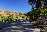 Santa_Paula_Canyon_036_02052021 - The paved road passing through the Rancho Recuerdo avocado farm