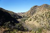 Santa_Paula_Canyon_102_02052021 - I had climbed high enough on the Santa Paula Canyon Trail to get this view back towards Santa Paula Canyon