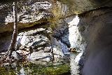 Santa_Paula_Canyon_244_02052021 - Broad look at the hidden waterfall obstacle on Santa Paula Creek, which turned me around