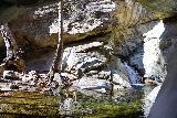Santa_Paula_Canyon_260_02052021 - Last look back at the context of the hidden waterfall obstacle and the pool preceding it on Santa Paula Creek