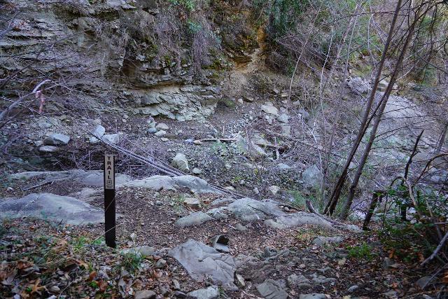 Santa_Paula_Canyon_426_02052021 - This was the signed creek crossing just below the Big Cone Camp
