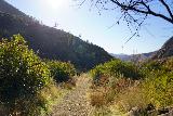 Santa_Paula_Canyon_443_02052021 - Now on the moderately long hike back from Big Cone Camp back to the Santa Paula Canyon Trailhead