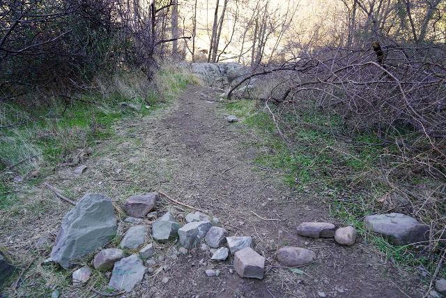 Santa_Paula_Canyon_455_02052021 - This was the false trail where beyond this line of rocks was the trail that followed Santa Paula Creek, which was the harder way to reach the Santa Paula Punch Bowls