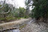 Santa_Ynez_Falls_011_02182023 - Looking ahead at some stream crossings to trails on either side of Santa Ynez Creek en route to Santa Ynez Falls