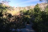 Santa_Ynez_Falls_013_01192019 - Descending from the gate onto the Santa Ynez Canyon Trail