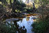 Santa_Ynez_Falls_025_01192019 - This was one of the more flooded stream crossings that we had to figure out a way across without getting our socks wet en route to Santa Ynez Falls during our January 2019 visit