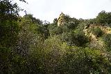 Santa_Ynez_Falls_026_02182023 - Looking up towards some kind of pinnacle formation as seen along the Santa Ynez Trail