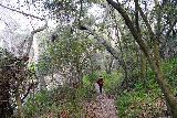 Santa_Ynez_Falls_034_02182023 - Tahia continuing through more serene pockets of nature along the way to Santa Ynez Falls in February 2023