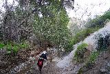 Santa_Ynez_Falls_036_02182023 - Julie and Tahia stream scrambling deeper in Santa Ynez Canyon though the lower water on our February 2023 visit certainly made this scramble way easier than it was in January 2019
