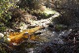 Santa_Ynez_Falls_038_01192019 - Looking back at another one of many stream crossings in high water in January 2019 on the Santa Ynez Canyon Trail, which can be traversed with some nifty rock hopping