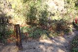 Santa_Ynez_Falls_054_01192019 - This was the part of the trail where we took the right turn to continue to Santa Ynez Falls. The firefighters kept left to run towards Trippet Ranch