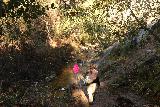 Santa_Ynez_Falls_075_01192019 - Dropping back down into the stream en route to Santa Ynez Falls. At this point, we were pretty much stream walking