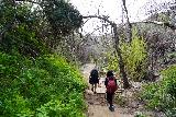 Santa_Ynez_Falls_102_02182023 - Julie and Tahia continuing with the on-trail return hike from Santa Ynez Falls