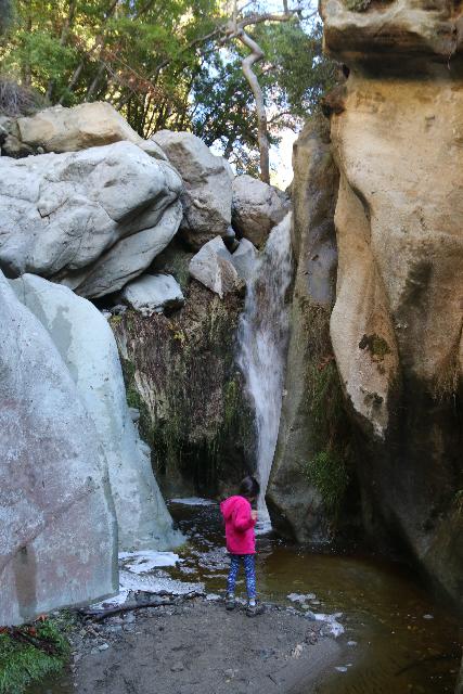 Santa_Ynez_Falls_132_01192019 - Tahia chucking little rocks at the Santa Ynez Falls
