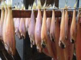 Sapporo_030_jx_06102009 - Hanging fish at Nijo Fish Market