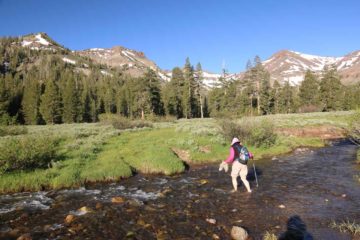 Sardine_Falls_040_06242016