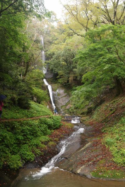 Saruo_Falls_055_10222016 - Full context of the Saruo Waterfall or Saruodaki