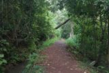 Sathodi_Falls_004_11142009 - The lush walkway leading closer to Sathodi Falls