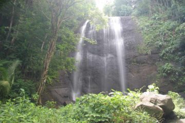 Sault Falls (also known as Errard Falls as well as Dennery Falls) is perhaps St Lucia's most scenic waterfall falling some 15-20m over a rounded cliff. It's one of the few...