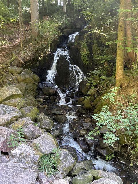 Saut_du_Bouchot_023_iPhone_14_06282025 - La Petite Cascade du Saut du Bouchot