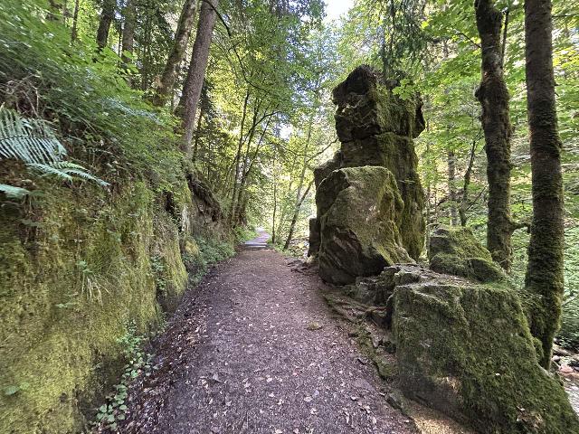 Saut_du_Bouchot_027_iPhone_14_06282025 - The eccentric formation of la Pierre du Chasseur