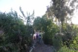 Schabarum_Park_003_03072015 - The family walking through a garden in Schabarum Park