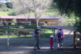 Schabarum_Park_005_03072015 - The family approaching the Equestrian area