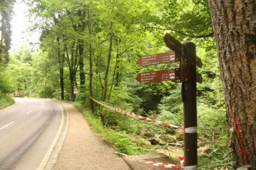 Schiessentumpel_031_06192018