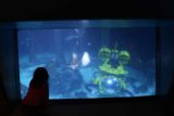 Sea_Life_Aquarium_012_01092016 - Tahia mesmerized by sting rays and sharks inside this large tank