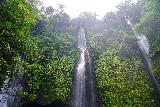 Sekumpul_183_06212022 - Looking up at the three waterfalls that comprised the Fiji Waterfalls