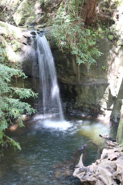 Sempervirens_Falls_115_04222019 - Sempervirens Falls