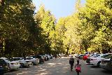 Sempervirens_Falls_156_04222019 - The parking lot was amazingly full for a weekday at the Big Basin Redwoods State Park