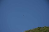 Sendero_Torres_del_Paine_102_12252007 - Condor checking us out