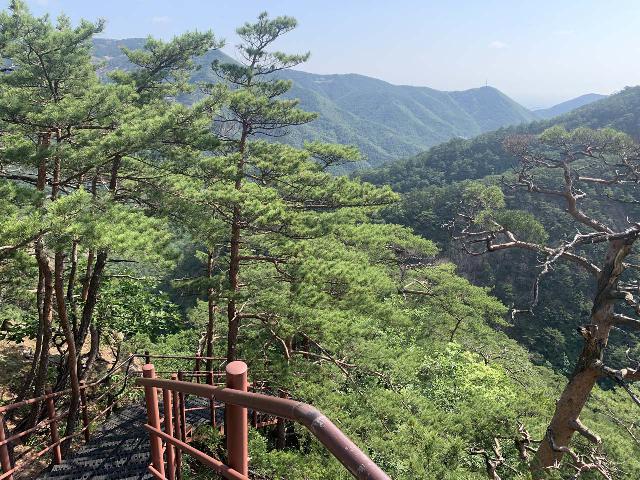 Seoraksan_032_iPhone_06142023 - Looking back at the upper end of the climb up to the Towangseong Falls Observatory, where the tree cover is even more sparse and it can get quite hot when there's sun