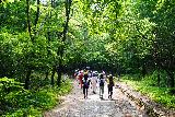 Seoraksan_425_06132023 - Looking back at the last of the mega Korean hiking tour group in Seoraksan National Park