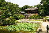 Seoul_556_06102023 - Checking out the Buyongji Pond in the Secret Garden
