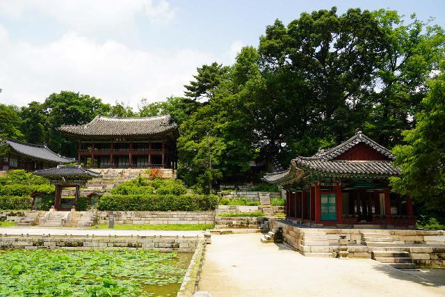 Seoul_657_06102023 - Seoul also features impressive palaces like the Changdeokgung Palace, which had some Forbidden-City-esque plazas as well as a 'secret garden' like the one shown here