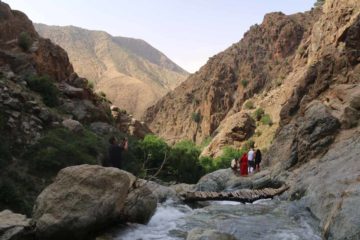 Setti_Fatma_068_05162015