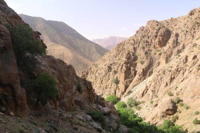 Setti_Fatma_147_05162015