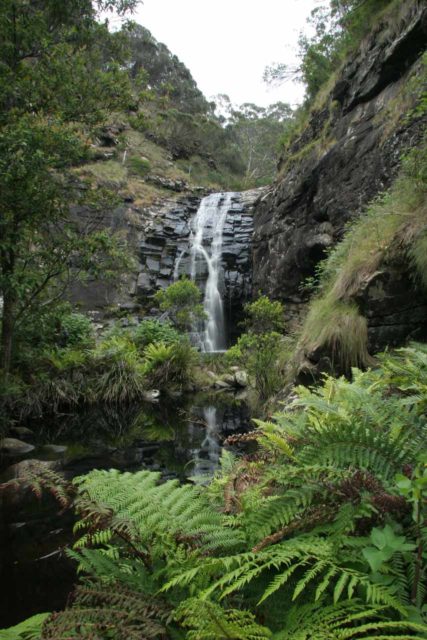 Sheoak_Falls_023_11162006 - Sheoak Falls amidst some surprising lush fern-fringed scenery as seen from our first visit back in November 2006