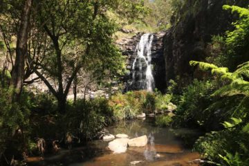 Sheoak Falls was one of the few Great Ocean Road waterfalls that was very close to the Southern Ocean coast. We had seen another one that could be called a coastal waterfall on the Great Ocean Road...