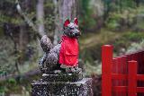 Shiraito_Falls_and_Takimoo_Shrine_060_04142023 - Closeup look at one of the inu (dog in Japanese) statues guarding one of the mini shrines in the Takino'o Shrine complex