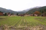 Shirakawa_129_10202016 - Looking across one of the larger fields in Ogimachi
