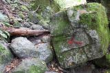 Shoji_Falls_071_10172016 - A red arrow spray-painted on a rock while hiking the Shoji Falls Trail