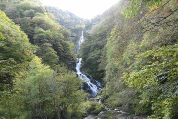 The Shoji Waterfall was a grand waterfall that my parents and I had to endure a bit of drama to reach.  That drama included going on a bit of a 